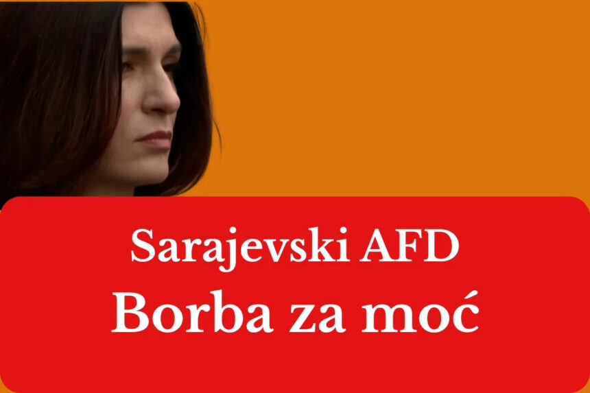 Sarajevski AfD Sabine Ćudić ne bira sredstva u borbi za moć, zato mora biti zabranjen!