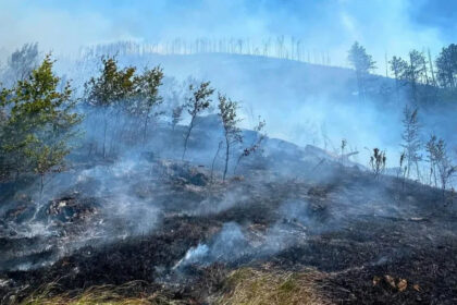 Vatrena stihija ne posustaje: Vatrogasci ulažu maksimum da obuzdaju požare oko Mostara