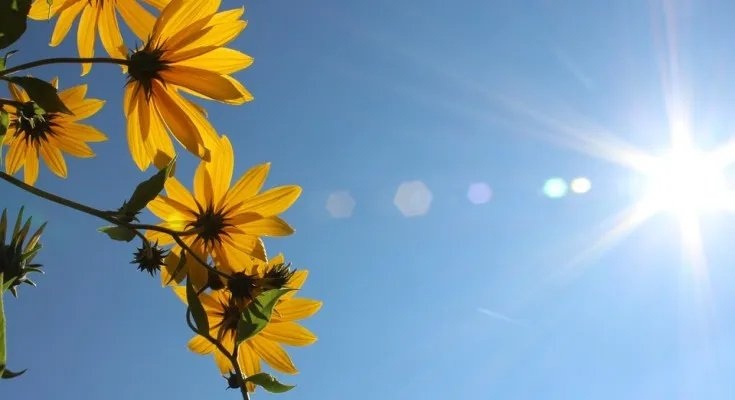 Danas sunčano i toplo vrijeme, na jugu 35 stepeni
