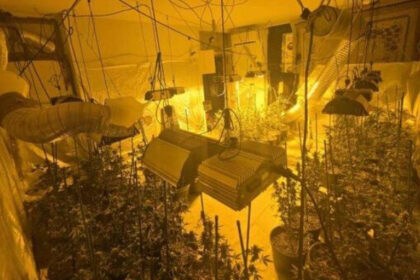 Policija u Sarajevu pronašla laboratorije za uzgoj marihuane
