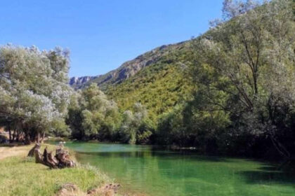 Nastavak aktivnosti na zaštiti prirode u vezi s HE Ulog i projektom Gornji horizonti
