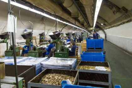 Na prodaju paket dionica konjičkog Igmana vrijedan 4,68 miliona KM
