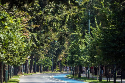 Toplotni val i nastavak polenske sezone u KS: Budite oprezni zbog povećane koncentracije alergena
