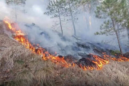 PROBLEMI ZBOG SUŠE I NEODGOVORNOSTI Vatrogasci na sve strane gase požare, teška situacija na Plješevici, a u Cazinu redukcija vode
