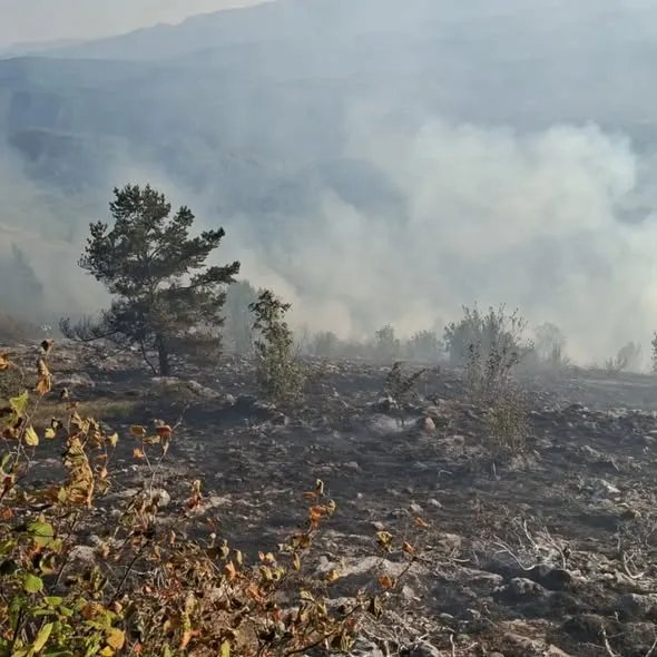 Požar na Trebeviću ponovo buknuo tokom noći: Vatra se proširila na dva fronta