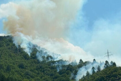 Veliki požar kod Konjica: Sumnja se da ga je izazvao voz, traži se angažman helikoptera