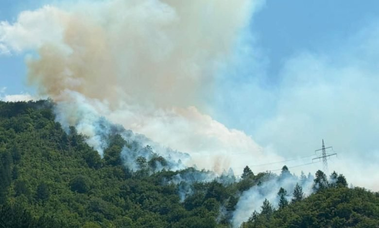 Veliki požar kod Konjica: Sumnja se da ga je izazvao voz, traži se angažman helikoptera