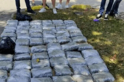 Određen pritvor Nihadu Bjelaku: U automobilu pronađena 73 kilograma marihuane, pokušao pobjeći policiji