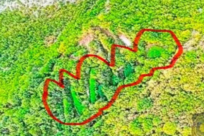 Velika akcija u Hercegovini: FUP krenuo na plantaže marihuane