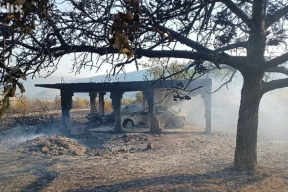 Požar u mostarskom naselju: Sve je počelo od smeća, izgorio jedan automobil