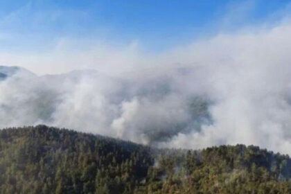 Požari u Krajini pod istragom: Provjerava se ko je odgovoran