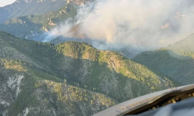 Ponovo buknuo požar kod Konjica: Vatra se širi prema selu