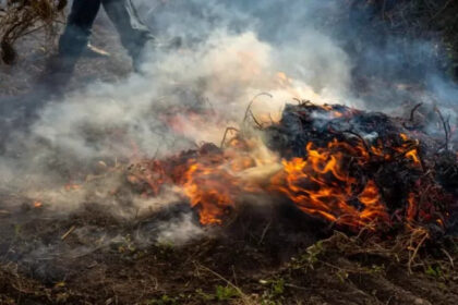 Burna 24 sata za vatrogasce u HNK: Poznato stanje požarišta u Konjicu