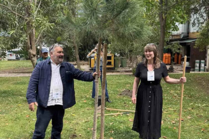 Sarajevo: Na Trgu Susan Sontag danas će biti zasađeno drvo života