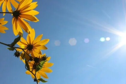 Još jedan vreli dan pred nama: Živa na termometru ide do 37°C