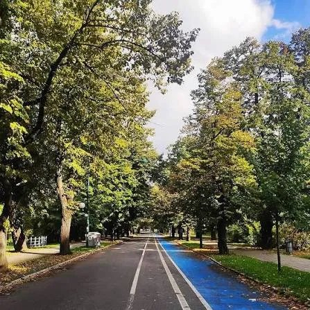 Zbog održavanja utrke izmjene saobraćaja u dijelu Sarajeva od 17.30 do 19.30
