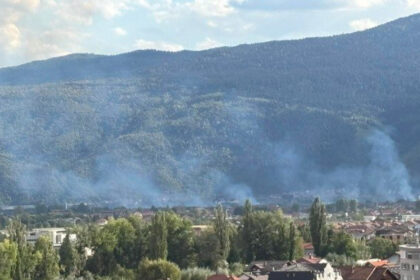 Jučer namjerno palio polje na Ilidži, sinoć uhapšen