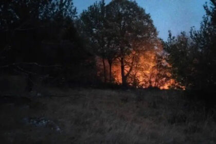 Požar kod Trnova prijeti da ugrozi kuće, vatrogasci iscrpljeni, građani se organizuju da pokušaju pomoći