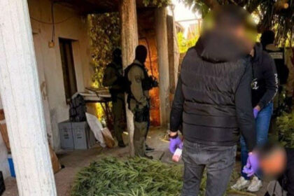 FUP: U Čapljini pronađena plantaža kanabisa, uhapšene dvije osobe