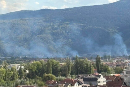 Požar u Hrasničkom polju: Gori trava i nisko rastinje, vatrogasci na terenu